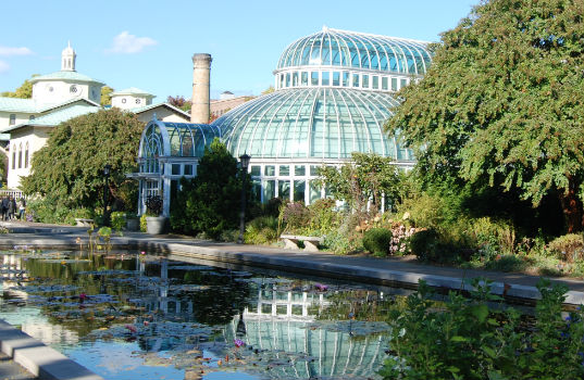 The Palm House